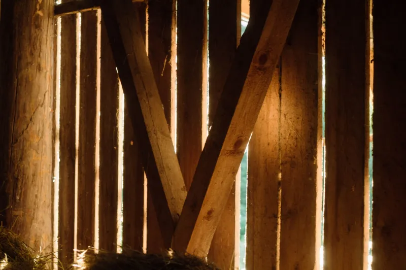 Broke, Rejected, and Recording in a Barn: The Outsider Who Accidentally Built the Sound of Nashville